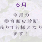 髪育VOL26「その抜け毛、梅雨の湿気のせいかも！？」