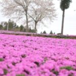 髪育VOL.33 【紫外線から髪と頭皮を守ろう】